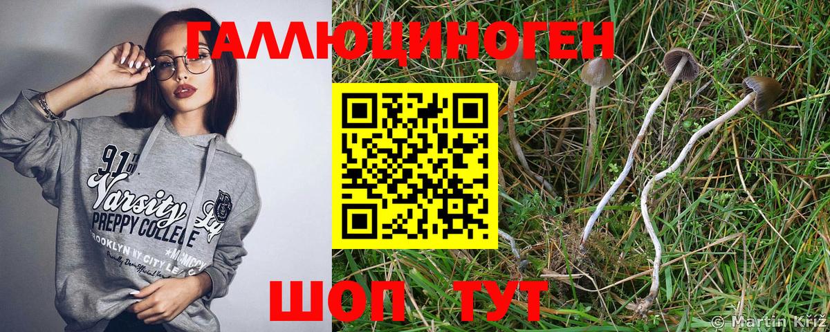 Псилоцибиновые грибы ЛСД Воронеж